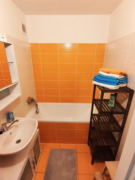 Apartman Staré Hamry エクステリア 写真